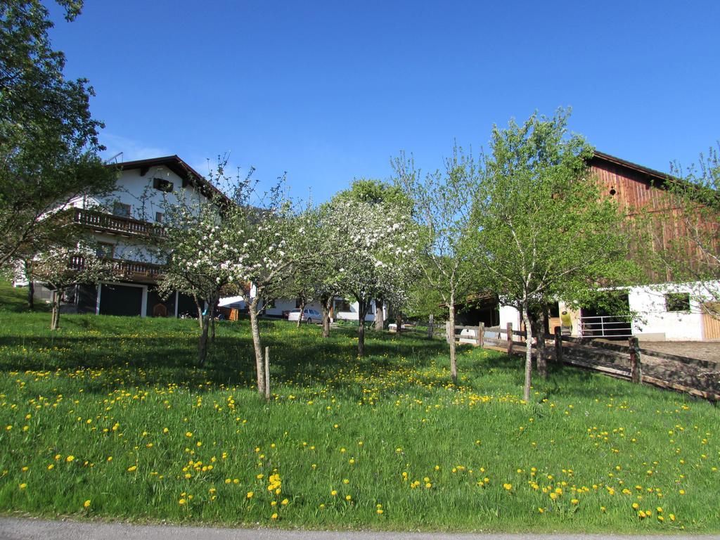Ferienhof Breitenbaumer Spital Am Pyhrn Exterior foto